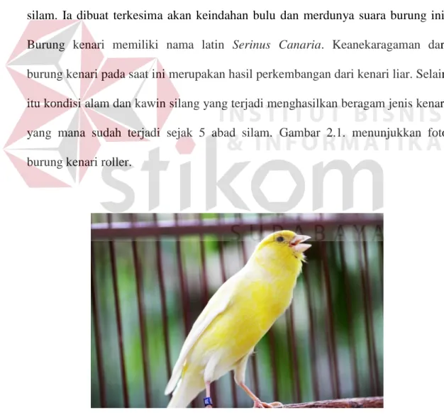 Gambar 2.1 Burung Kenari Roller ( (omkicau.com),2016) 