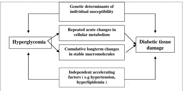 Gambar 1. Skema kerusakan jaringan akibat hiperglikemia pada DMT2  Berbagai dampak glucotoxicity  