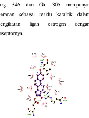 Gambar  2. Hasil ligplus Interaksi RE  β dengan  Estrogen 