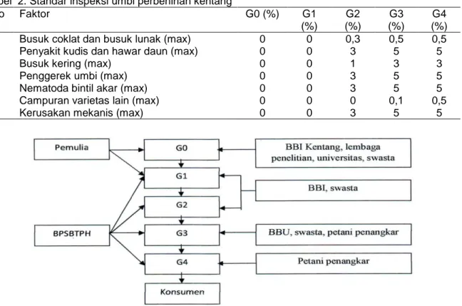Gambar 3. Sistem Perbanyakan Benih Kentang di Indonesia (Suwarno, 2008)  Peran Teknologi Aeroponik dalam Swasembada Benih Kentang Nasional 