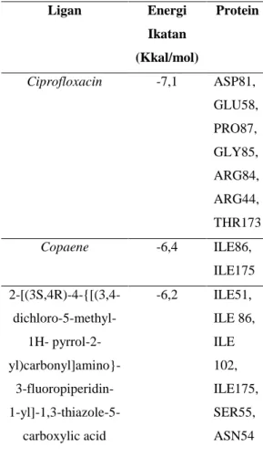 Gambar 3. Hasil Visualisasi (a) Ligan  Asli, (b) Ciprofloxacin dan  