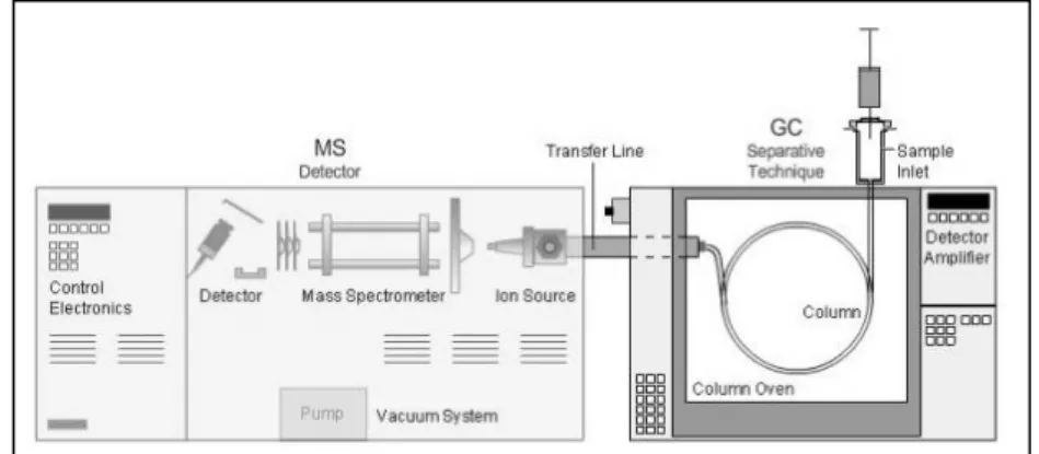 Gambar 3. Ilustrasi skematis  instrumen GC-MS  (Crawford Scientific, 2015) 