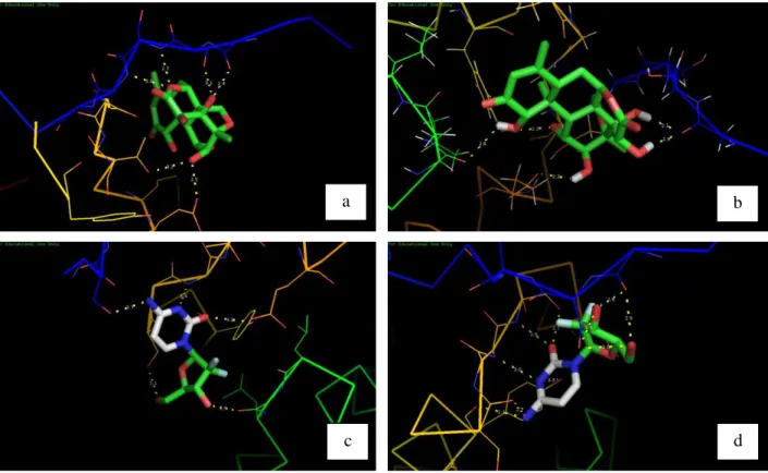 Gambar 2. Visualisasi interaksi docking protein NFĸB1dengan ligan, brusein D rigid  (a),  brusein D fleksibel (b), gemsitabin rigid  (c), gemsitabin fleksibel (d)