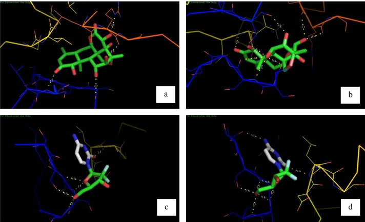 Gambar 3. Visualisasi interaksi docking  protein NFĸB2 dengan ligan, brusein D rigid  (a),  brusein D fleksibel (b), gemsitabin rigid  (c), gemsitabin fleksibel (d)