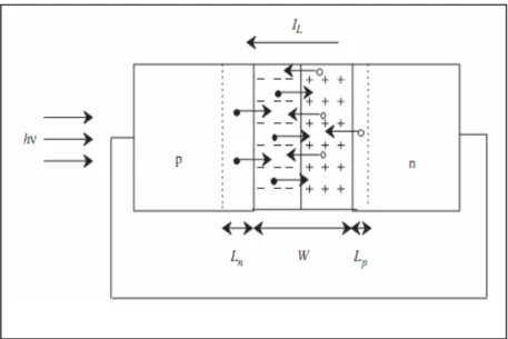 Gambar 12 Aliran muatan pembawa persambungan p-n saat disinari cahaya dalam  rangkaian tertutup (Soga