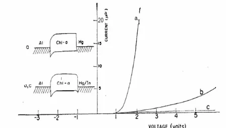 Gambar 19  Karakteristik arus tegangan Al/klorofil a/Hg (a) elektroda Hg Murni,  (b) campuran Hg dengan 8,7% In (c) campuran Hg dengan 17,8% In  (Chen et al
