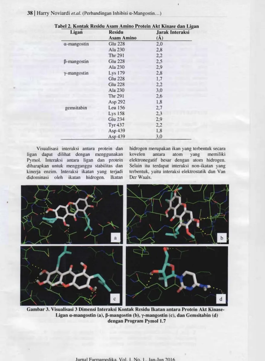 Tabel 2.  Kontak Residu Asam Amino Protein Akt Kinase dan Ligan 