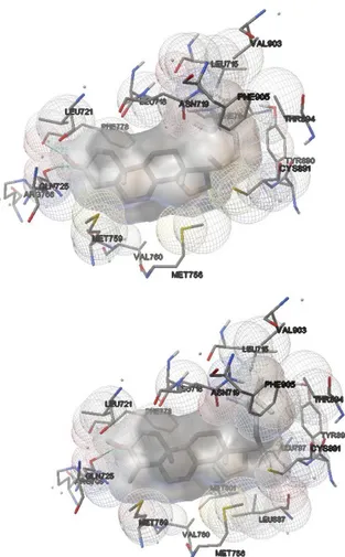 Gambar  4.  Hasil  docking  senyawa   7 -avenasterol  dan  β-sitosterol  pada  reseptor  progesteron