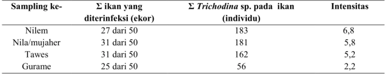 Tabel 4.1. Intensitas Trichodina sp. pada benih ikan dari masing-masing sampling  Sampling ke-  Ʃ ikan yang 