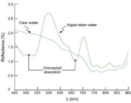 Gambar 4 Pantulan air jernih vs air kaya akan ganggang hijau  (Sumber : Khorram., et al., 2012) 