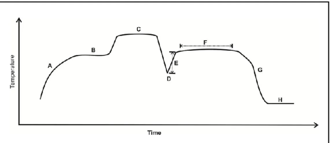 Gambar 2  Kurva tipikal titik leleh dan beku  Realisasi  dimulai  dengan  dilakukannya  proses  pemvakuman  sel  titik  tersebut  hingga  mencapai  10 -6   torr