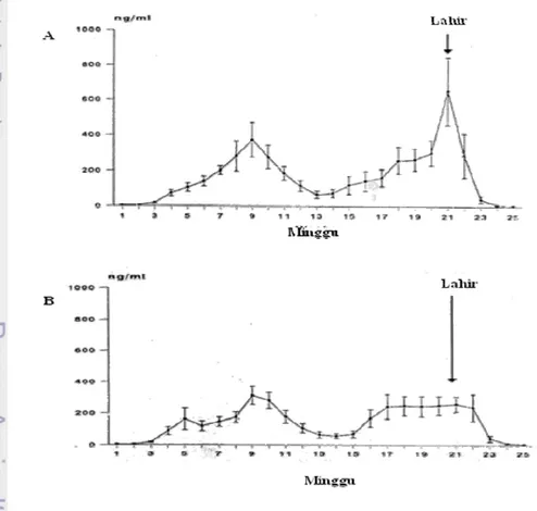 Gambar 5  Konsentrasi rata-rata ovPAG  dalam plasama (± SEM) selama  kebuntingan   dan postpartus pada domba  (Ranilla et al