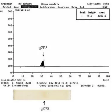 Gambar 5.  Analisis Protein gZP3 Hasil SDS-PAGE Ulang Isolat gZP3 dengan Densitometri     pada Panjang Gelombang 573 nm 