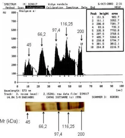Gambar 3.  Analisis Marker Hasil SDS-PAGE dengan Densitometri   pada Panjang Gelombang 573 nm 