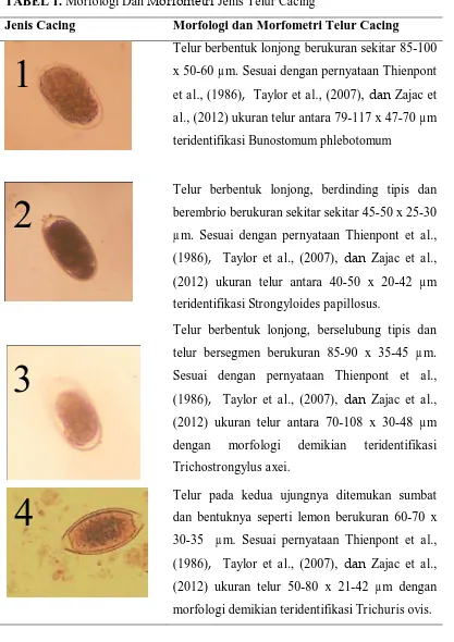 TABEL 1. Morfologi Dan Morfometri Jenis Telur Cacing 