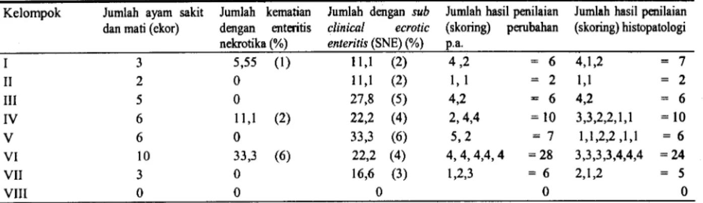 Tabel 2. Hasil pengamatan kejadian enteritis nekrotika selama 6 minggu pada ayam pedaging