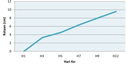 Grafik 2. Pertumbuhan Miselium Pleurotus ostreatus yang Tumbuh   dalam Media Sabut Kelapa Sawit 