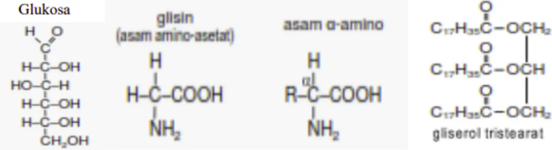 Gambar 3.1 Struktur Senyawa Glukosa, Asam Amino, dan Gliserol Tristearat  Sumber : file.upi.edu 