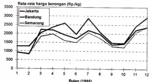 Gambar 1.   Grafik perkembangan harga borongan bawang merah (rata-rata bulanan)  di tiga daerah konsumsi Jakarta, Bandung dan Semarang tahun 1995  Gambar 1