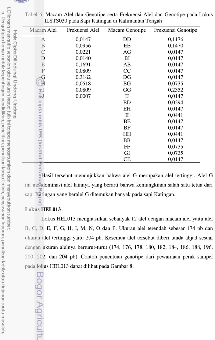 Tabel  6.  Macam  Alel  dan  Genotipe  serta  Frekuensi  Alel  dan  Genotipe  pada  Lokus  ILSTS030 pada Sapi Katingan di Kalimantan Tengah 