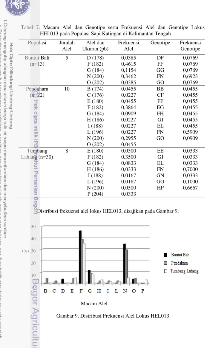 Tabel  7.  Macam  Alel  dan  Genotipe  serta  Frekuensi  Alel  dan  Genotipe  Lokus  HEL013 pada Populasi Sapi Katingan di Kalimantan Tengah 