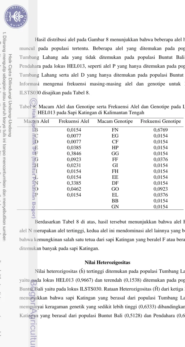 Tabel  8.  Macam  Alel  dan  Genotipe  serta  Frekuensi  Alel  dan  Genotipe  pada  Lokus  HEL013 pada Sapi Katingan di Kalimantan Tengah 