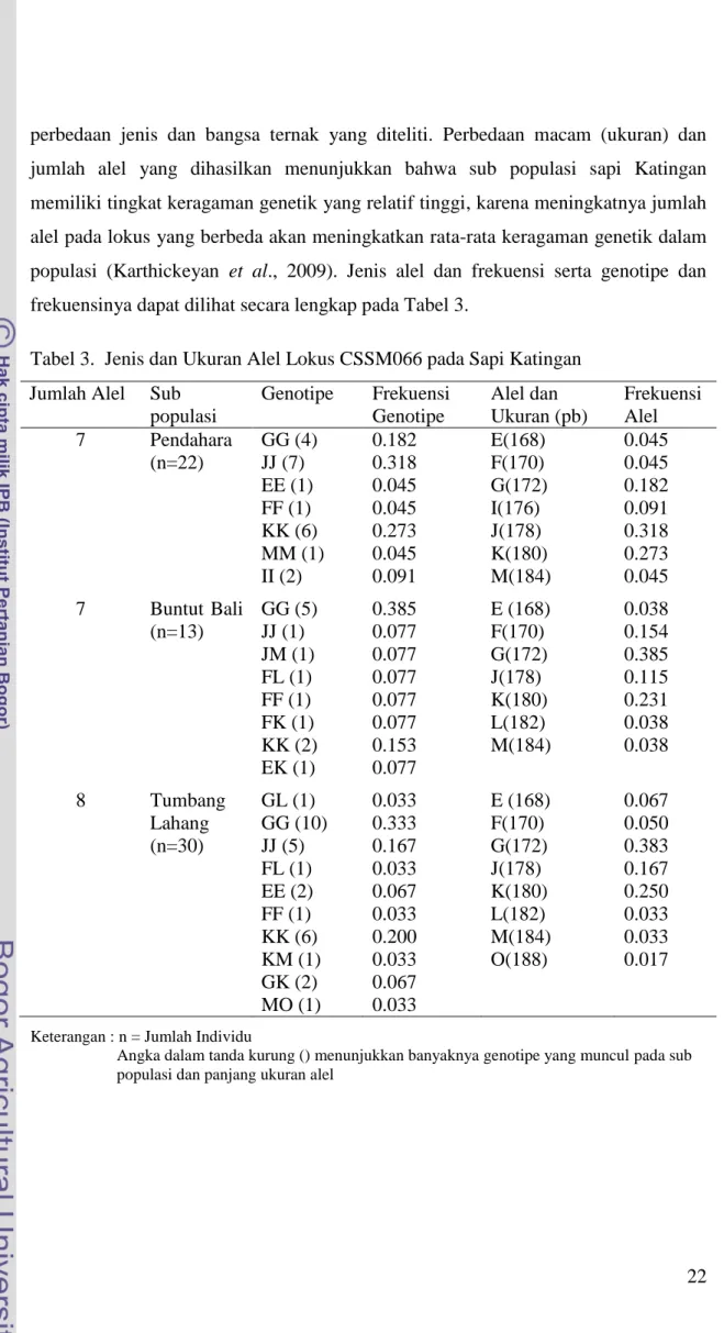 Tabel 3.  Jenis dan Ukuran Alel Lokus CSSM066 pada Sapi Katingan  Jumlah Alel  Sub 