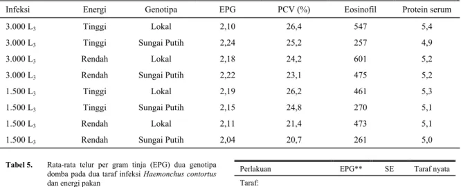 Tabel 5.   Rata-rata telur per gram tinja (EPG) dua genotipa  domba pada dua taraf infeksi Haemonchus contortus  dan energi pakan 