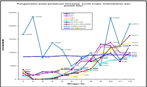 Gambar 2.  Pengamatan perlakuan D. flagrans terhadap curah hujan, kelembaban dan larva pergram tinja  pada di plot lapangan rumput 