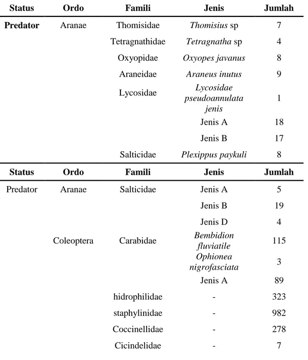 Tabel 1. Jenis Artropoda Musuh Alami Predator dan Parasitoid Yang Ditemukan  Selama Pengamatan Pada Tanaman Jagung Bima 20-URI 