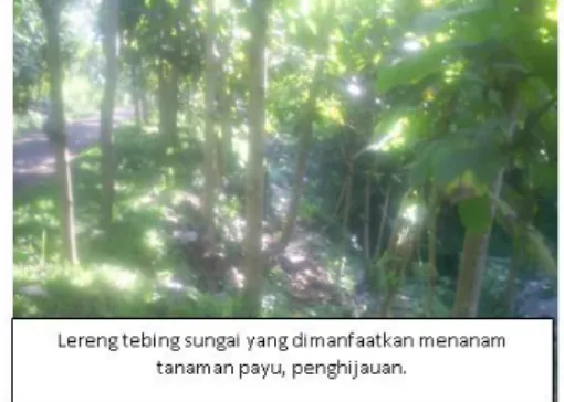 Gambar Pemanfaatan Lereng Tebing Sungai 