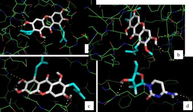 Gambar 3. Visualisasi 3 Dimensi Interaksi Kontak Residu Ikatan antara Protein Akt Kinase- Kinase-Ligan α-mangostin (a), β-mangostin (b), γ-mangostin (c), dan Gemsitabin (d) 