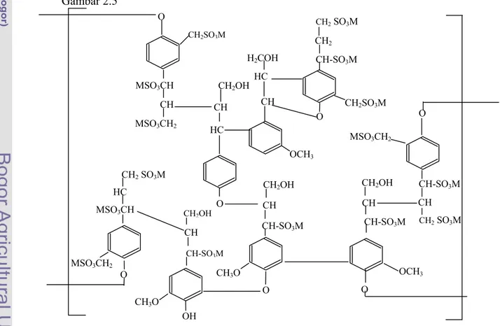 Gambar  2.5 Struktur garam lignosulfonat (Gargulak dan Lebo, 2000). 