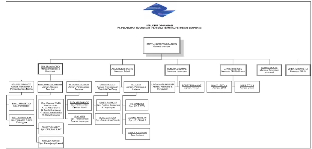 Gambar 4.1 Struktur Organisasi TPKS 