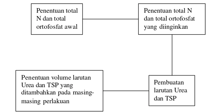 Gambar 6.  Diagram alir pembuatan larutan Urea dan TSP serta volume penambahan larutan Urea dan TSP untuk tiap perlakuan
