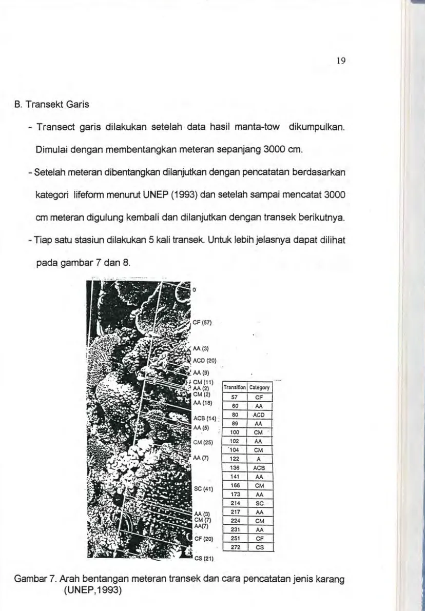 Gambar 7.  Arah  bentangan  meteran transek  dan cara  pencatatan  jenis  karang  (UNEP, 1993) 