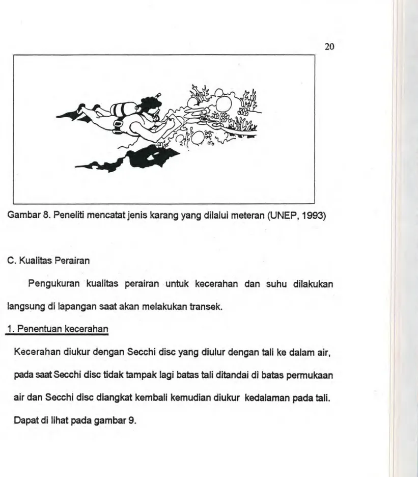 Gambar 8. Peneliti mencatat jenis  karang yang dilalui  meteran (UNEP,  1993) 