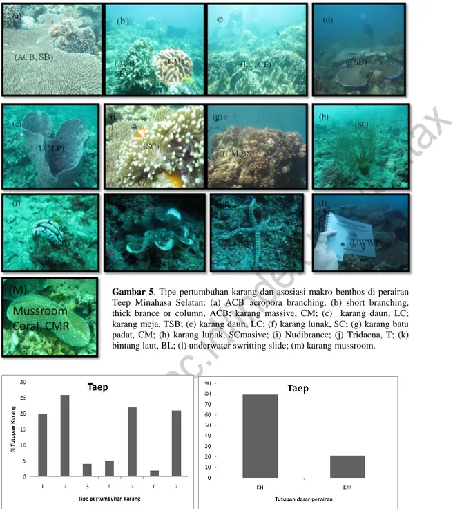 Gambar  6.  Bentuk-bentuk  pertumbuhan  karang  yang  hadir,  masing-  masing  dengan  presentase  tutupan  di  lokasi  Teep,  Kabupaten  Minahasa  Selatan:  1=  SMTCB,  karang  batu  padat,  CM;  2=TBSB,  karang  meja;  3=  CM,  karang  batu  padat;  4=CF