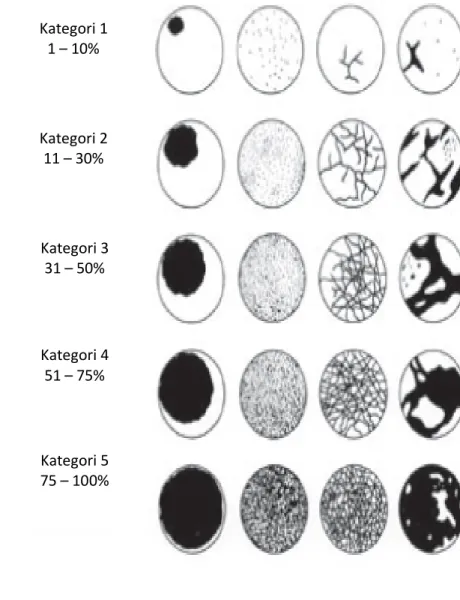 Gambar 4  Kategori persen tutupan karang  (Dahl 1981 in English et al. 1997). Kategori 1 1 – 10% Kategori 2 11 – 30% Kategori 3 31 – 50% Kategori 4 51 – 75% Kategori 5 75 – 100% 