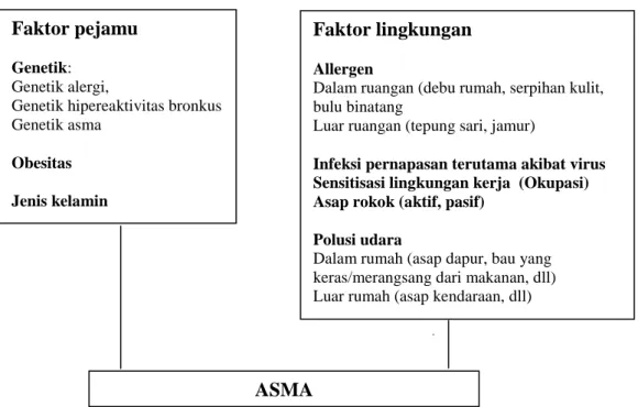 Gambar 1. Faktor yang mempengaruhi perkembangan dan manifestasi asma                                                                                                           Dikutip dari (7) 