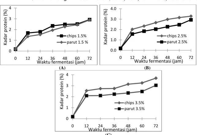 Gambar  3.  Hubungan  antara  waktu  fermentasi  (jam)  terhadap  kadar  protein  pada  media  bentuk  chips  dan  parut  dengan  penambahan  Rhizopus  oligosporus  (A)  1.5%  w/w,  (B)  2.5%  w/w,  (C)  3.5% w/w 