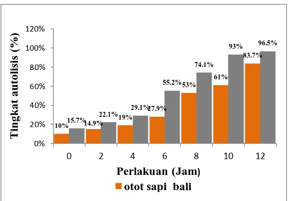Grafik 1. Perbandingan tingkat autolisis antara otot dan hati sapi bali pada beberapa periode waktu pasca pemotongan (rata-rata)