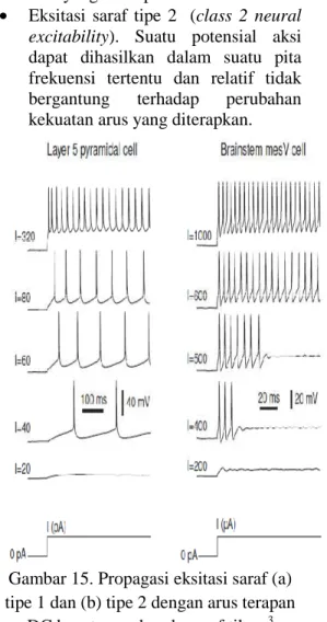 Gambar 15. Propagasi eksitasi saraf (a)  tipe 1 dan (b) tipe 2 dengan arus terapan 