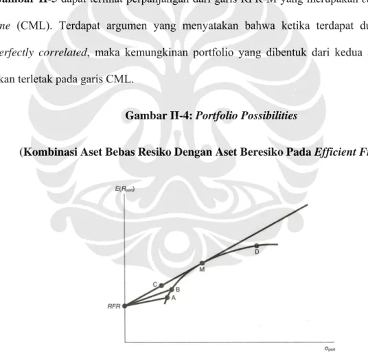 Gambar II-4: Portfolio Possibilities  
