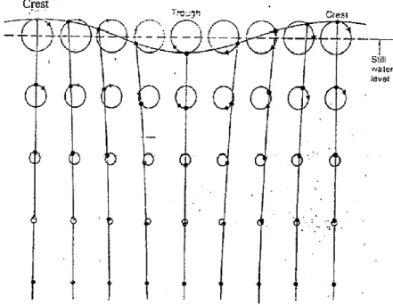 Gambar 1.4 Pola gerakan melingkar orbit gelombang  (Davis, 1987  dalam Rahayu, 2000) 