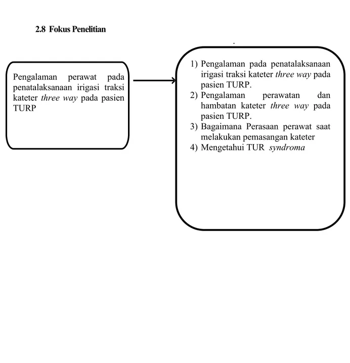 Gambar 2.2 Fokus Penelitian 