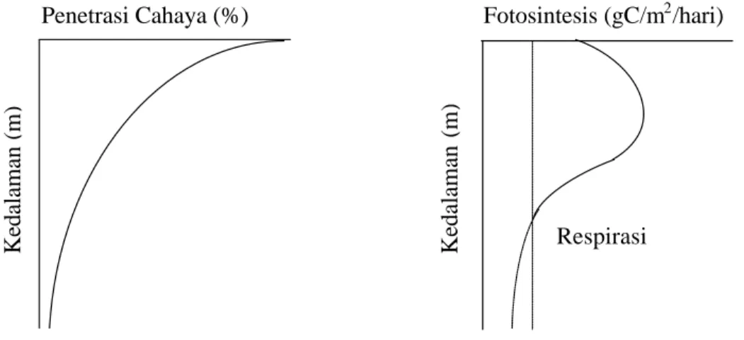 Gambar 4. Grafik distribusi vertikal cahaya dan fotosintesis di perairan     (Lalli dan Parsons 1993; Mann dan Lazier 1996)