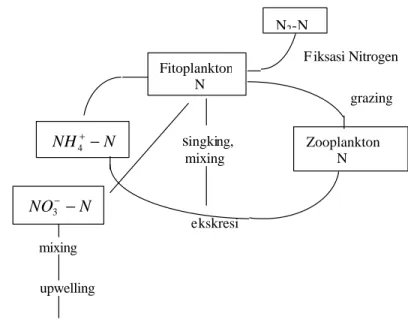Gambar  2.  Siklus nitrogen di zona eufotik (Tett dan Edwards 1984; Lalli dan                             Parsons 1993)