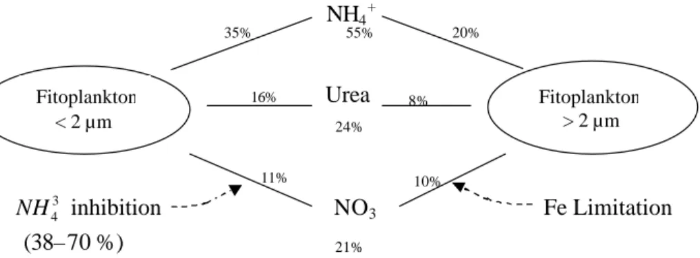 Gambar 3. Penyerapan dari tiga sumber nitrogen (NH 4 , Urea, NO 3 ) oleh dua                      ukuran fitoplankton yang berbeda (Varela 1997; Varela dan                      Harrison  1999 in Harrison et al