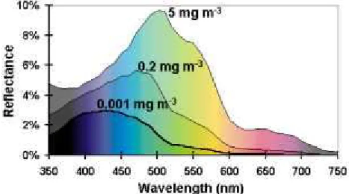 Gambar 6. Spektrum warna air  yang direfleksikan oleh tiga konsentrasi klorofil yang                     berbeda